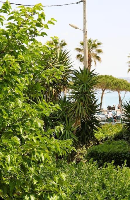 Blue Summer Vibes Duplex Studio For 4P, Ac, Sea View, Parking, Beach At 50M, Spa Access -3 La Ciotat Kültér fotó